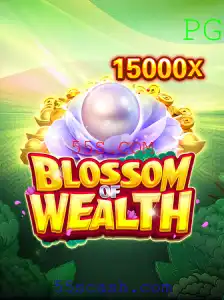 Tudo Sobre o Jogo BlossomofWealth e sua Experiência em 55S.COM